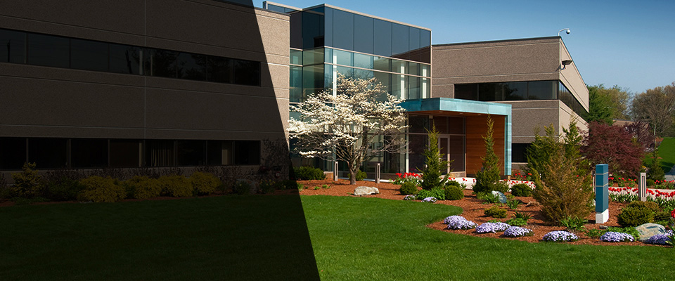 Palatine Landscapers