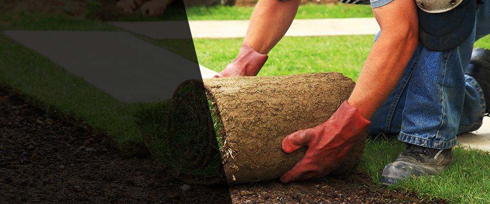 Palatine Landscapers